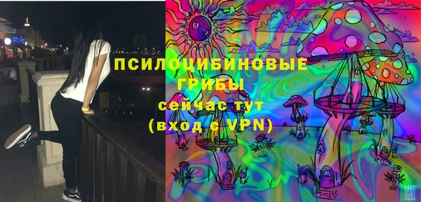прущие крисы Алексин