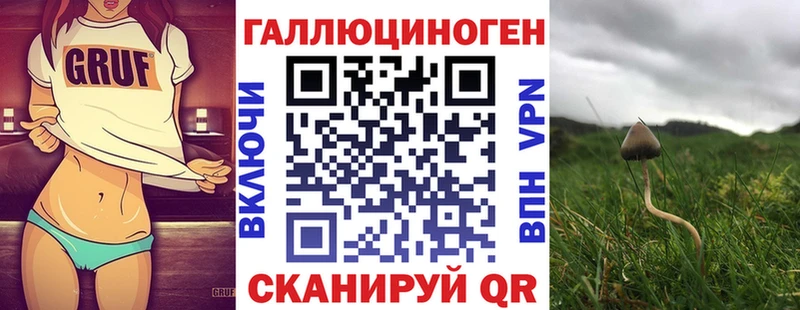 Галлюциногенные грибы Psilocybine cubensis где найти Ленинск-Кузнецкий