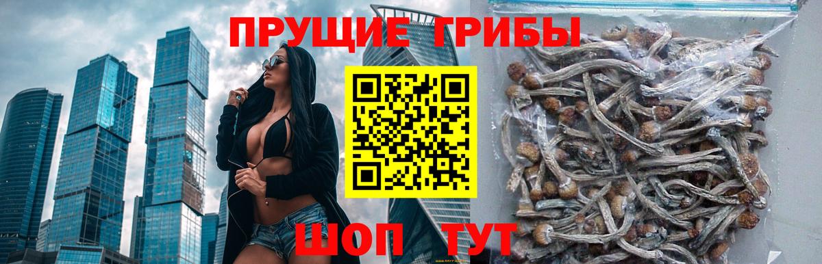 Псилоцибиновые грибы Magic Shrooms Ленинск-Кузнецкий