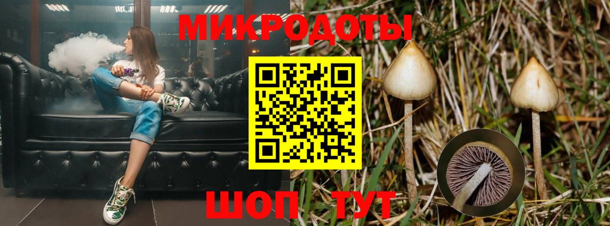 Псилоцибиновые грибы мухоморы  Вход с VPN  Галлюциногенные грибы мухоморы  Ленинск-Кузнецкий 