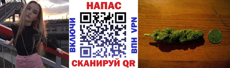 Бошки марихуана тримм  как найти закладки  Ленинск-Кузнецкий 